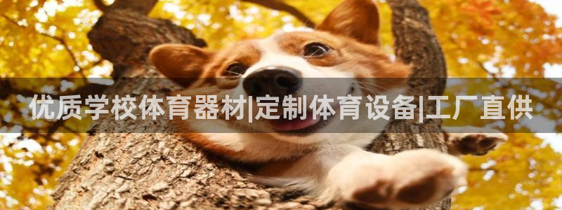 尊龙服饰有限公司地址