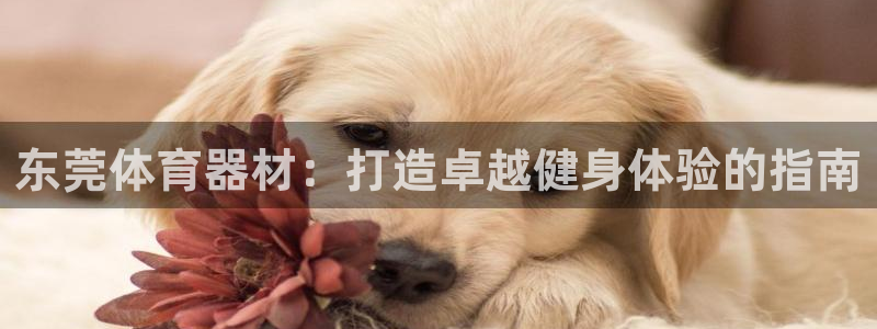 凯时k88最新