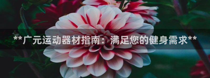 尊龙集团