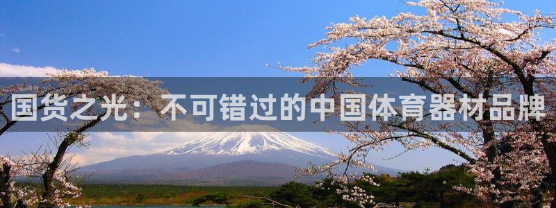 尊龙网页