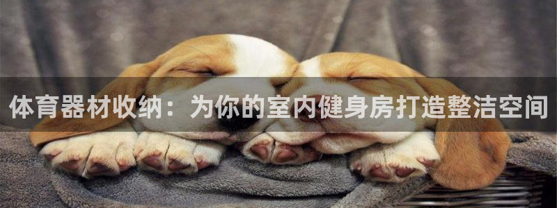 尊龙实业有限公司属于国企吗