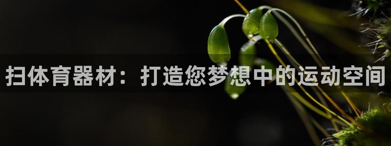 尊龙凯时人生就是搏包装优势