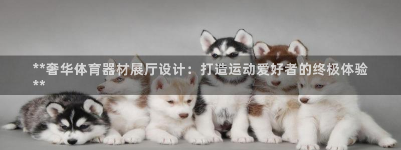 尊龙凯时法拉币