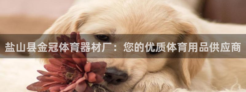 尊龙凯时麻将胡了