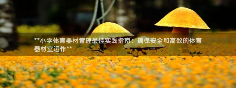 尊龙app怎么样
