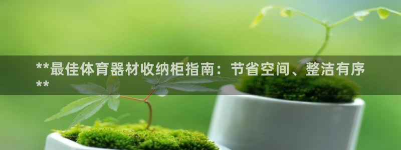尊龙凯时这个平台怎么样