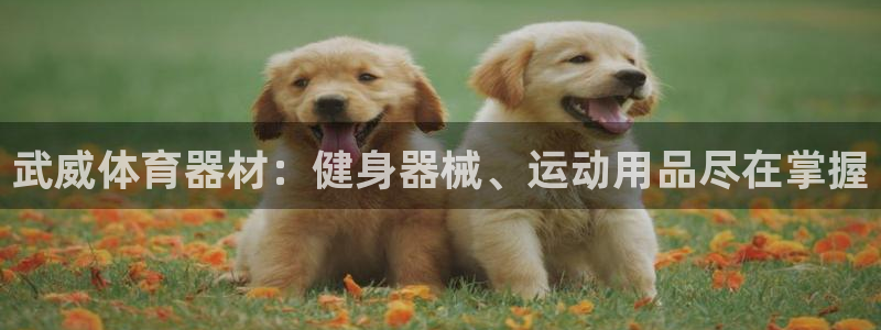 尊龙d88官网QU来就送38