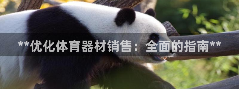 尊龙下载推荐网站