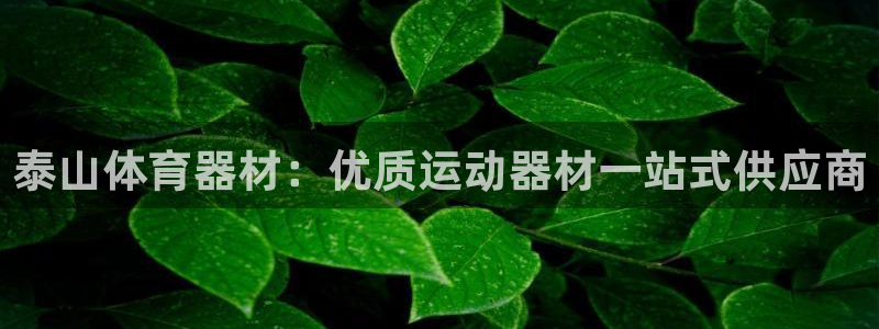 尊龙凯时城游戏官网