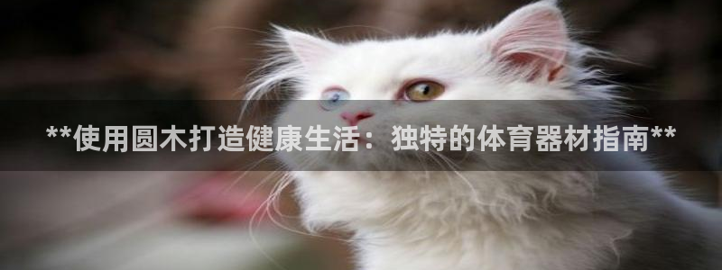尊龙凯时请求参数不符合