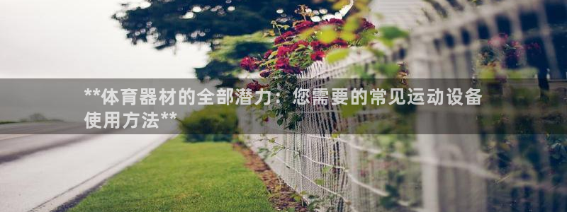 凯时国际网站域名