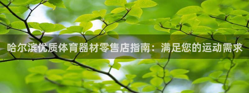 尊龙人生就是一博!