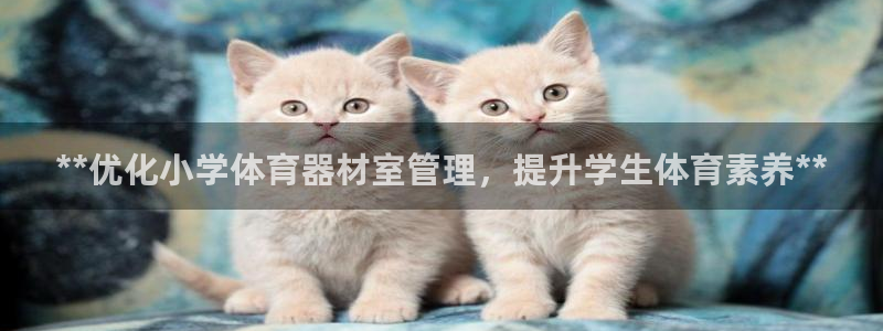 尊龙官方网址