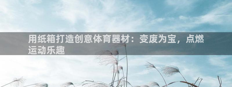 尊龙凯时百万奖池：用纸箱打造创意体育器材：变废为宝，点燃
运