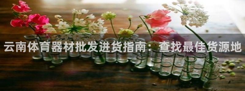 尊龙长相评价