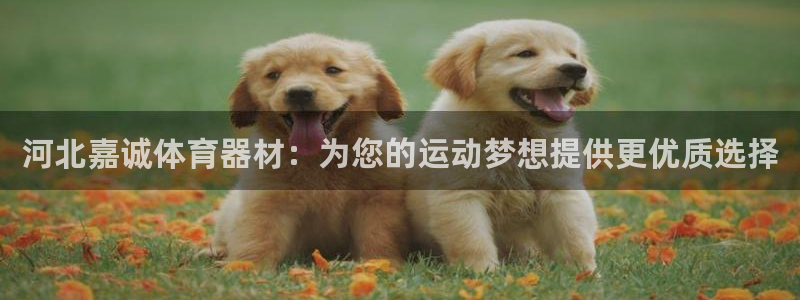 尊龙凯时产品系列