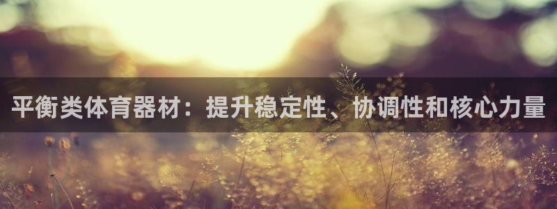 凯时k66官方发布：平衡类体育器材：提升稳定性、协调性和核心