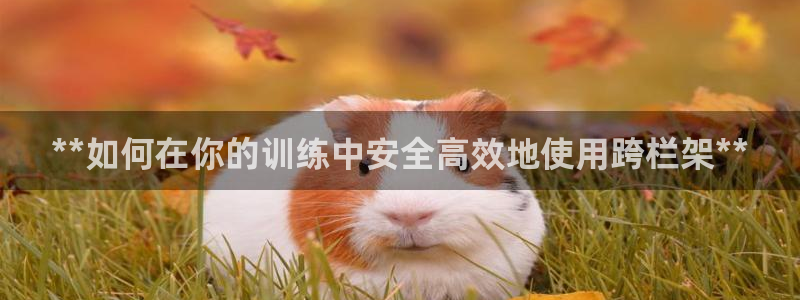 尊龙凯时网站不让提款