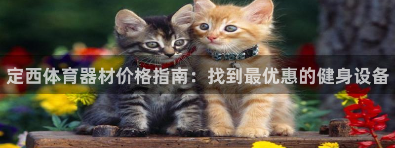 尊龙是什么软件