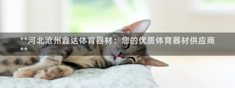 尊龙体育怎么样：**河北沧州鑫达体育器材：您的优质体育器材供