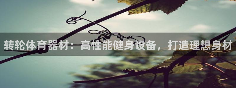 尊龙体育游戏平台