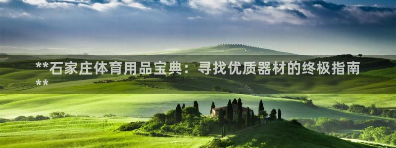 尊龙手机客户端下载APP