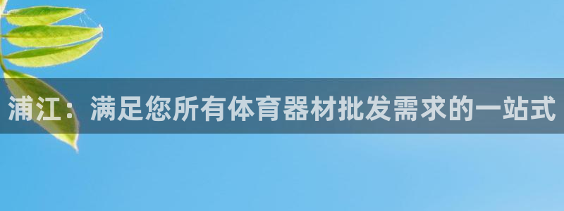 尊龙凯时官方网站：浦江：满足您所有体育器材批发需求的一站式