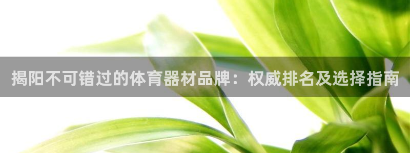 尊龙凯时平台不给出款怎么办：揭阳不可错过的体育器材品牌：权威