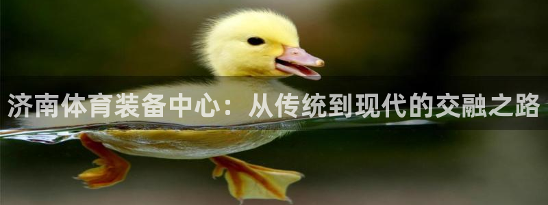 尊龙网址苹果版下载