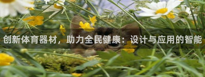 尊龙 下载