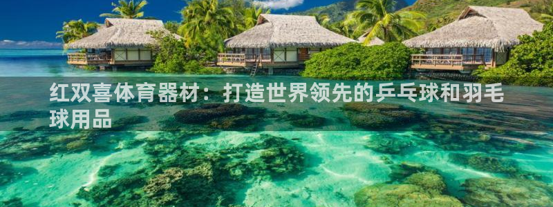 尊龙凯时平台正规吗：红双喜体育器材：打造世界领先的乒乓球和羽
