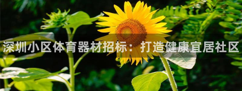 尊龙人生就是博中国区