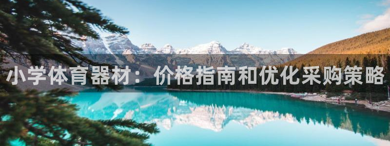 尊龙网址是选访问zd207