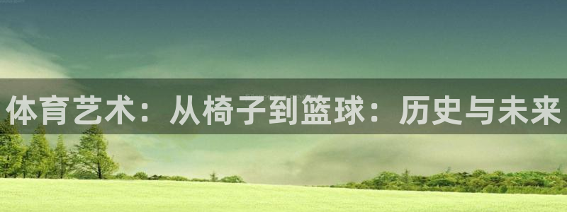 尊龙公司：体育艺术：从椅子到篮球：历史与未来