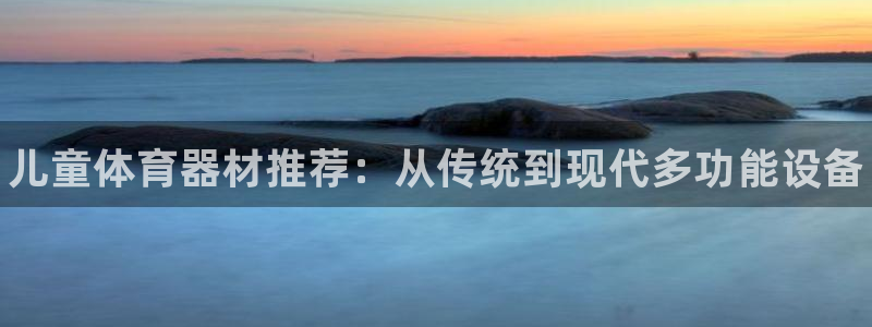 尊龙凯时ag旗舰厅官：儿童体育器材推荐：从传统到现代多功能设