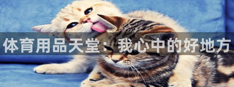 尊龙d88现金旧版本